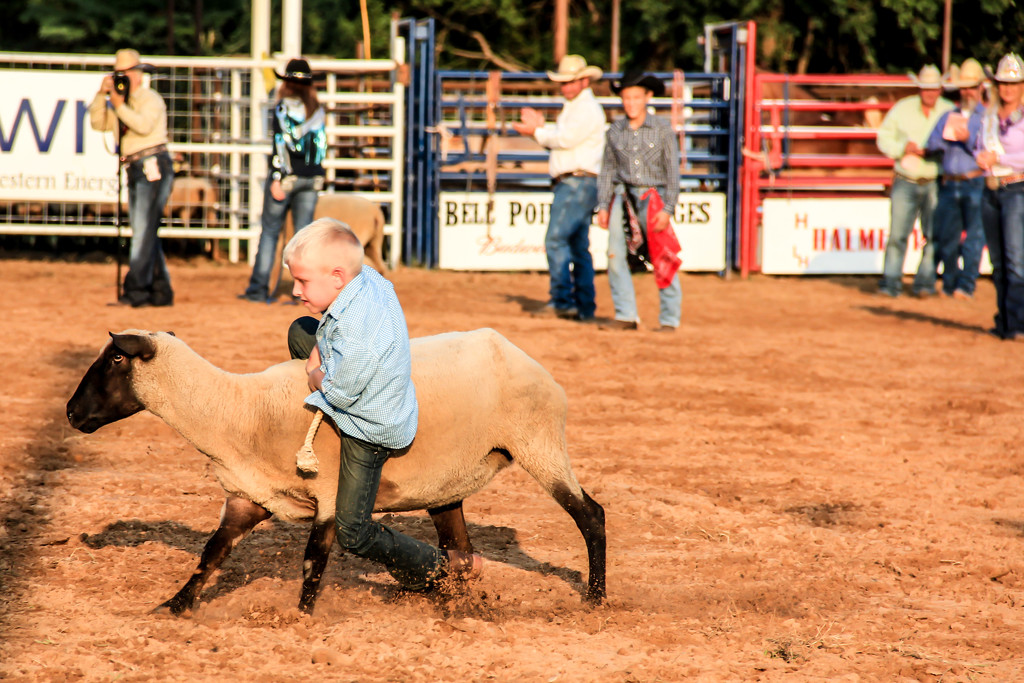 Ozark's First Rodeo in 20 Years by milaniet