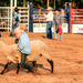 Ozark's First Rodeo in 20 Years by milaniet