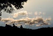 28th Aug 2015 - Silhouetted Ducks, Reflected Clouds 