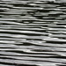 Ripples by dragey74