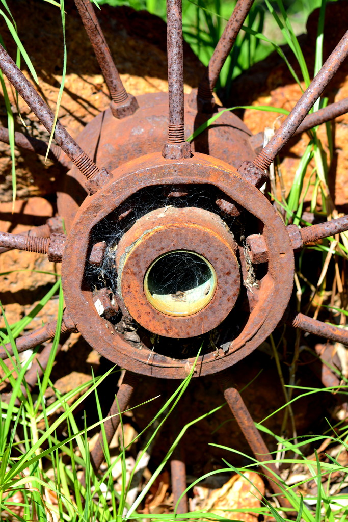 Rusty Wheel Hub DSC_8634  by merrelyn