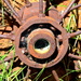 Rusty Wheel Hub DSC_8634  by merrelyn