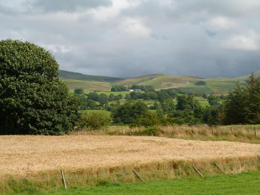 view by shirleybankfarm
