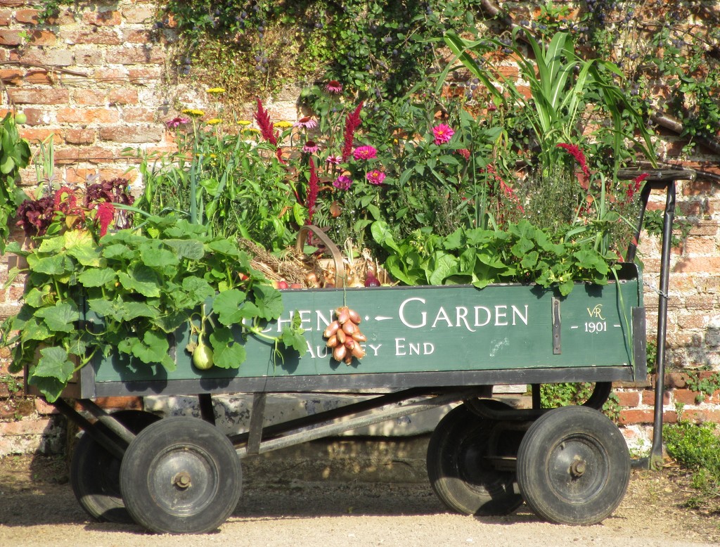 In the walled garden by lellie