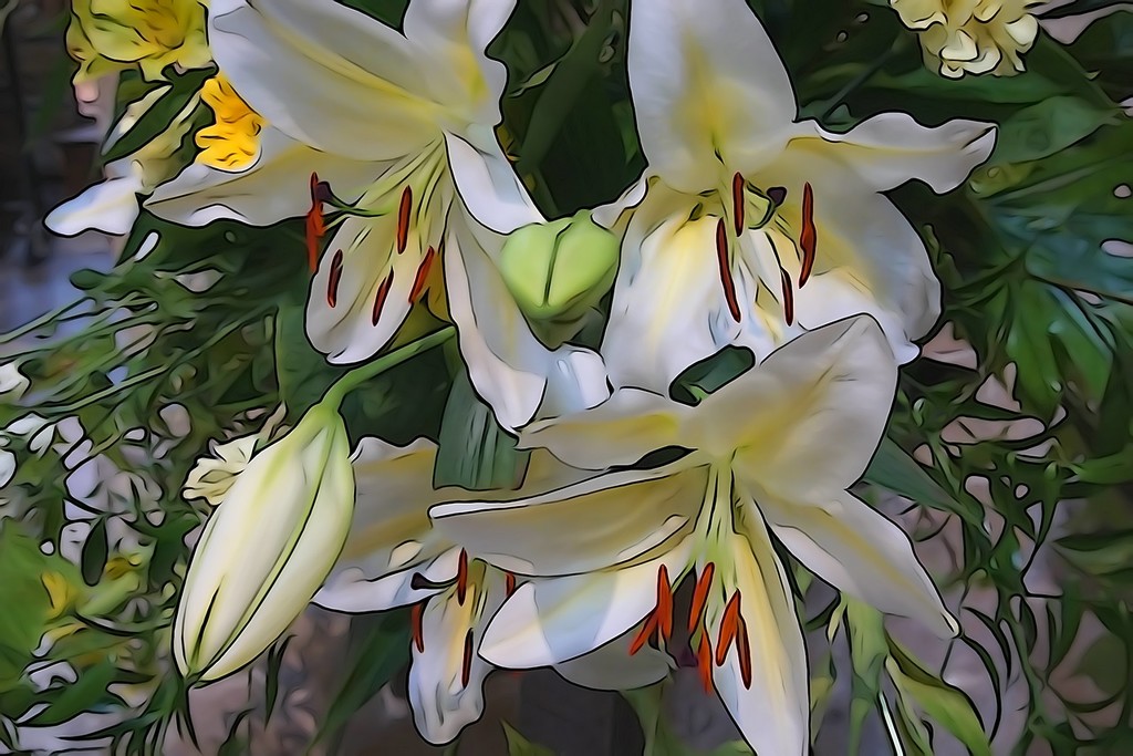 lilies in 'illustration' by quietpurplehaze