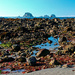 Low Tide the Ozette Loop by tosee