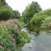  The Beautiful River Frome by susiemc