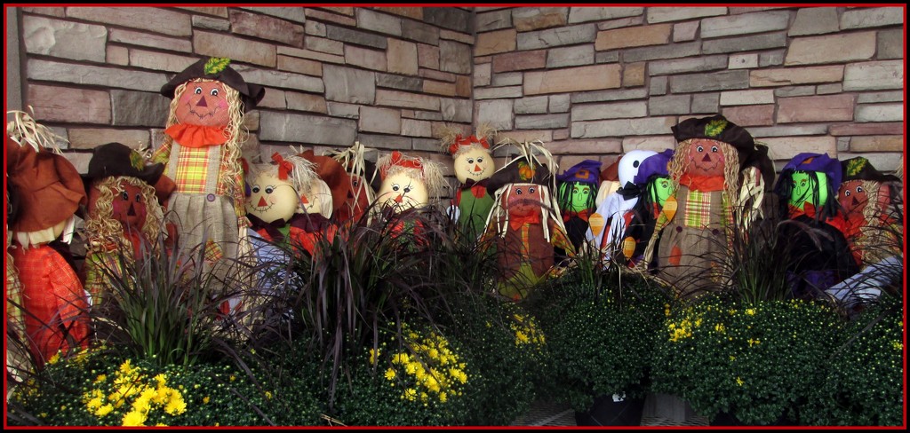 Chresanthemums and scarecrows by bruni