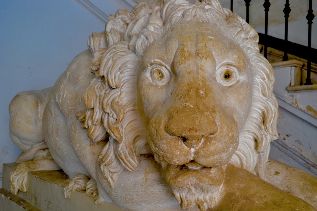 Lion in the library by tomdoel