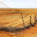 Dingo Fence by terryliv