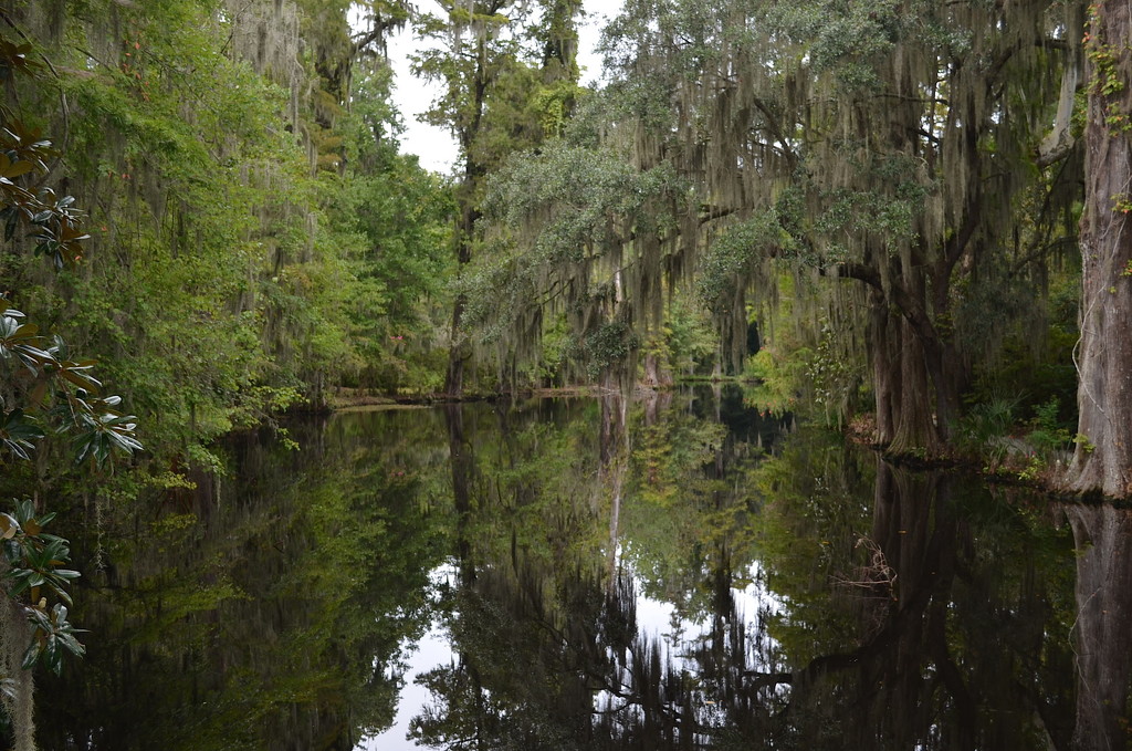 One of the lakes at Magnolia Gardens, Charleston, SC by congaree