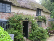 14th Aug 2015 - Thomas Hardy's Cottage