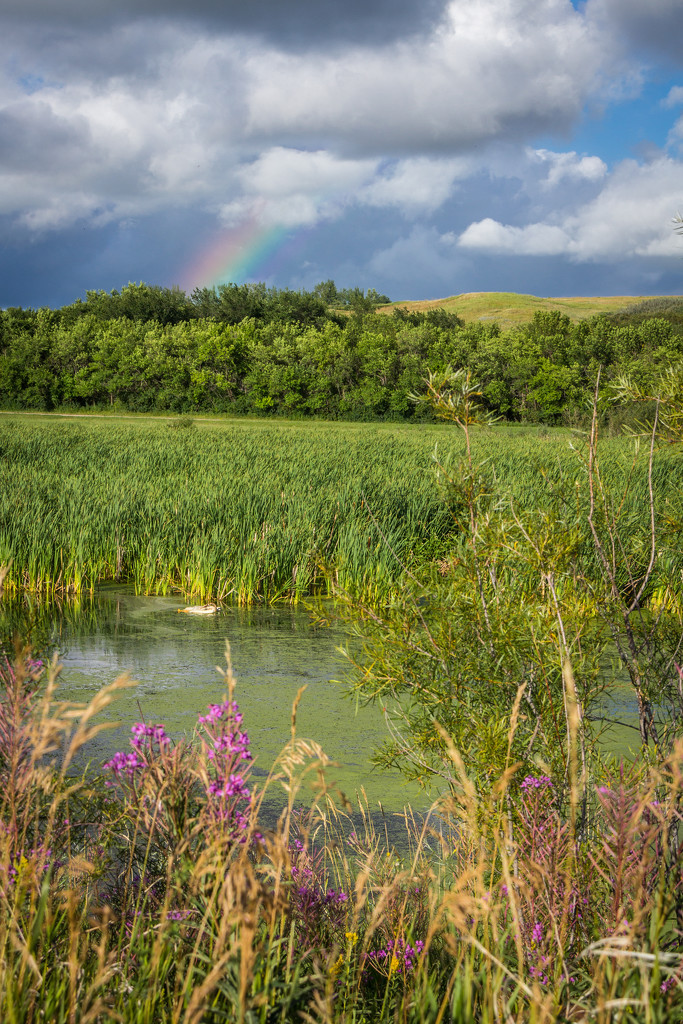 Prairie Rainbow by kph129
