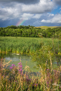 7th Aug 2015 - Prairie Rainbow