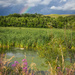Prairie Rainbow by kph129