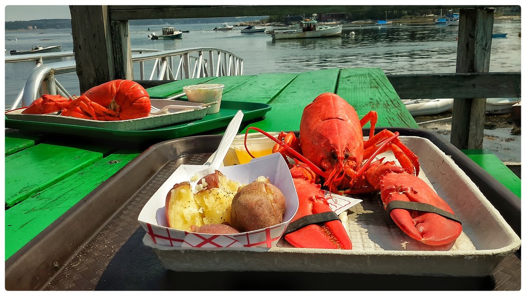 Quintessential Maine Experience  by joansmor