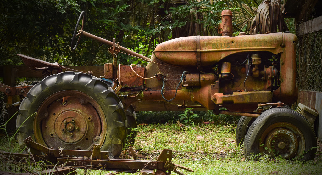 Rusty Tractor by rickster549
