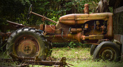 2nd Sep 2015 - Rusty Tractor