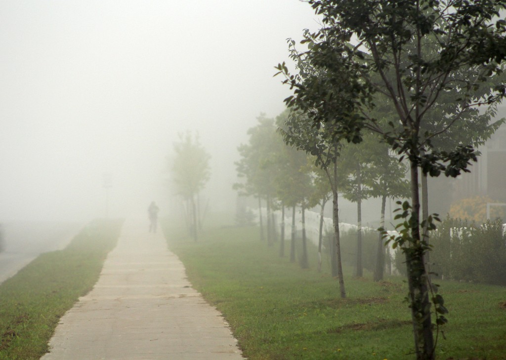 Walker of the fog by adi314