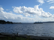 3rd Sep 2015 - Fauntleroy Ferry Dock