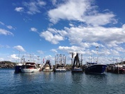 3rd Sep 2015 - Coffs Harbour 
