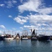 Coffs Harbour  by pusspup