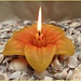 Light a Yellow Candle. by wendyfrost