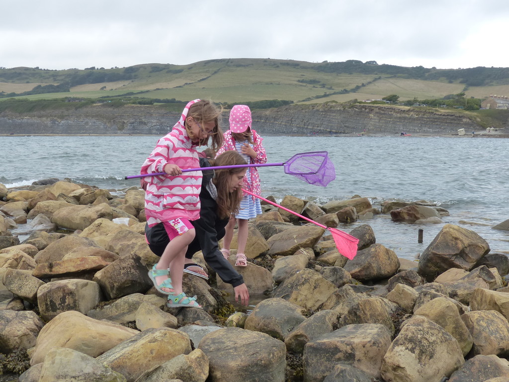 Checking Out Rock Pools in Kimmeridge Bay by susiemc