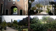3rd Sep 2015 - Hortus botanicus Leiden 