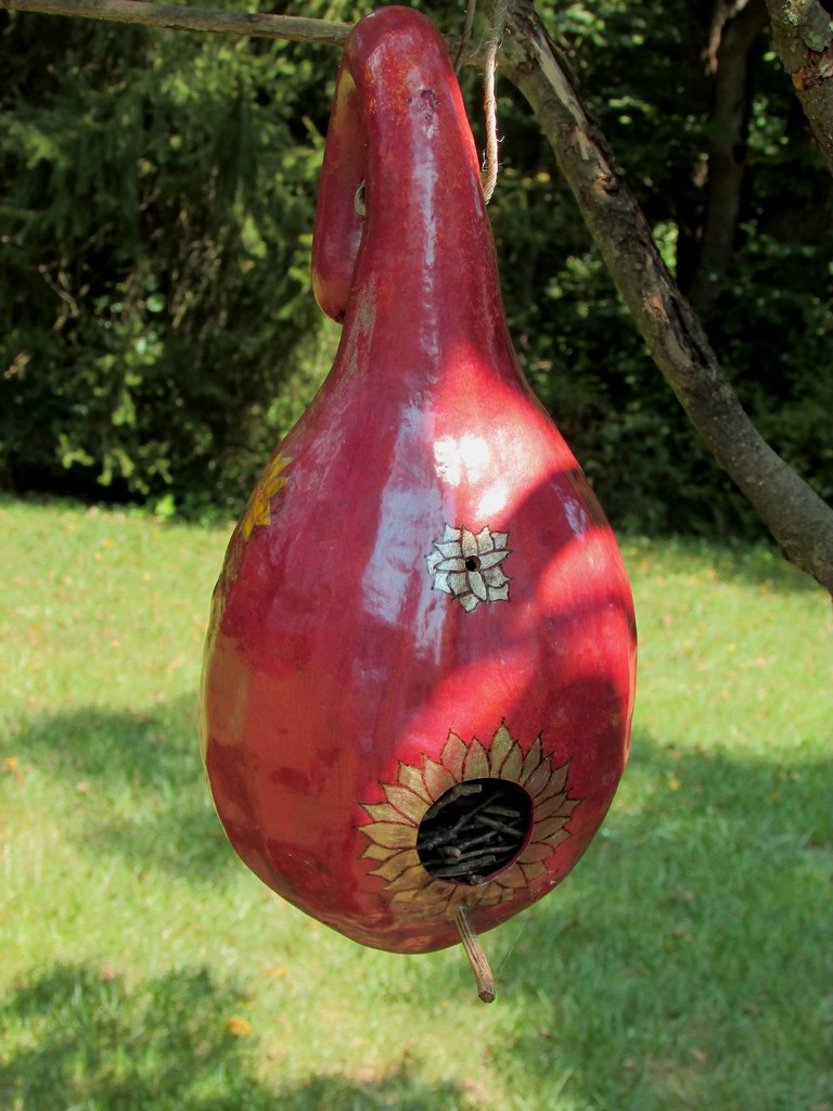 Gourd Bird House by tunia