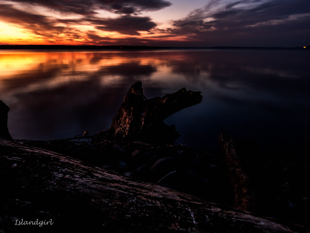 Driftwood and the Sunrise by radiogirl