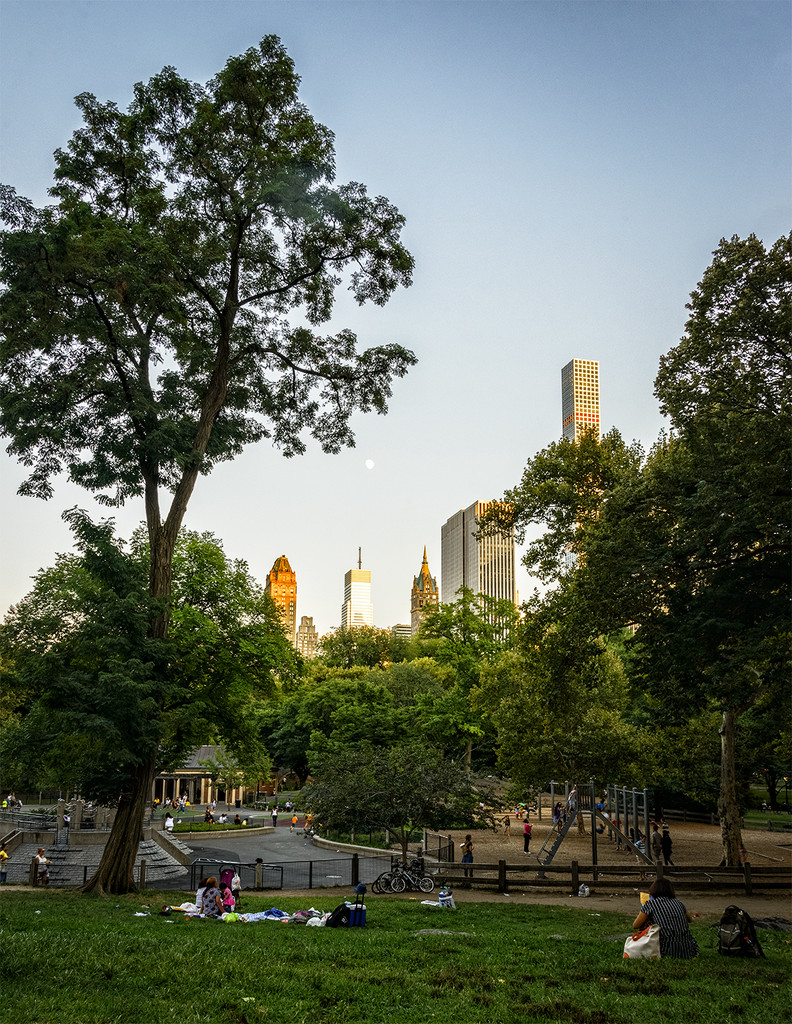 Central Park Evening  by jgpittenger