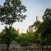 Central Park Evening  by jgpittenger