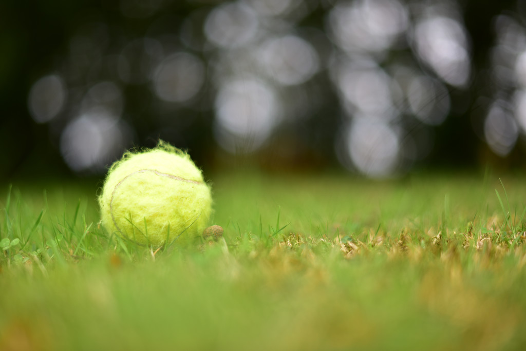 NF-SOOC-2015 - Day 4: Tennis Ball and Bokeh by vignouse