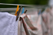 4th Sep 2015 - A Year of Days: Day 247 - On the Washing Line