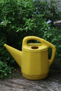 4th Sep 2015 - Yellow watering-can