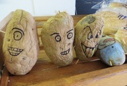31st Aug 2015 - Potato heads