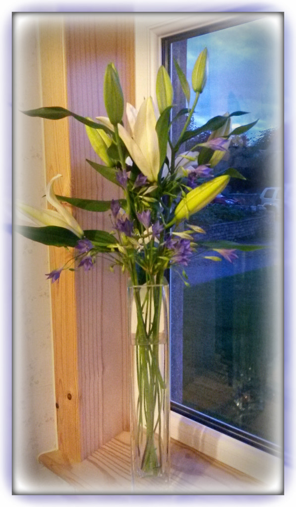 lilies and brodiaea by sarah19