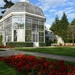 Albert Khan garden #2 by parisouailleurs