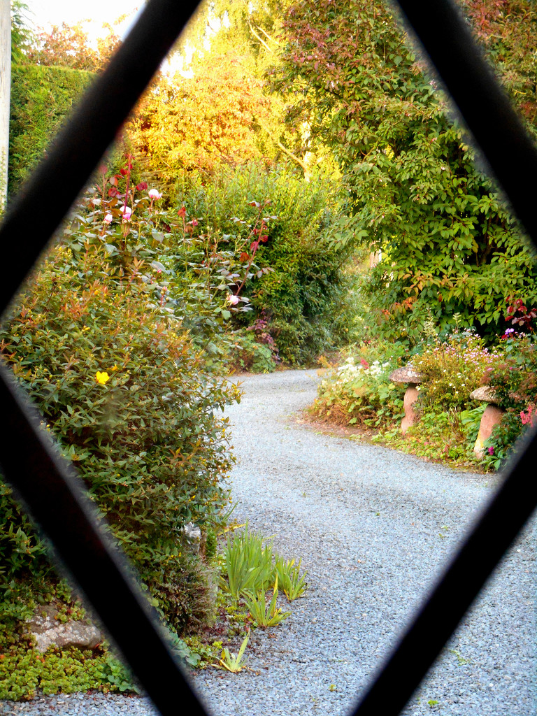 view through a lattice window.... by snowy