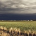 Stormy Weather by kaldara