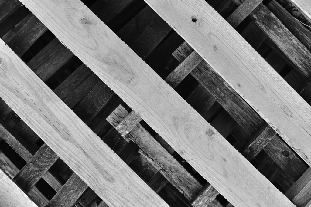 NF-SOOC-2015 - Day 5: Pallets by vignouse