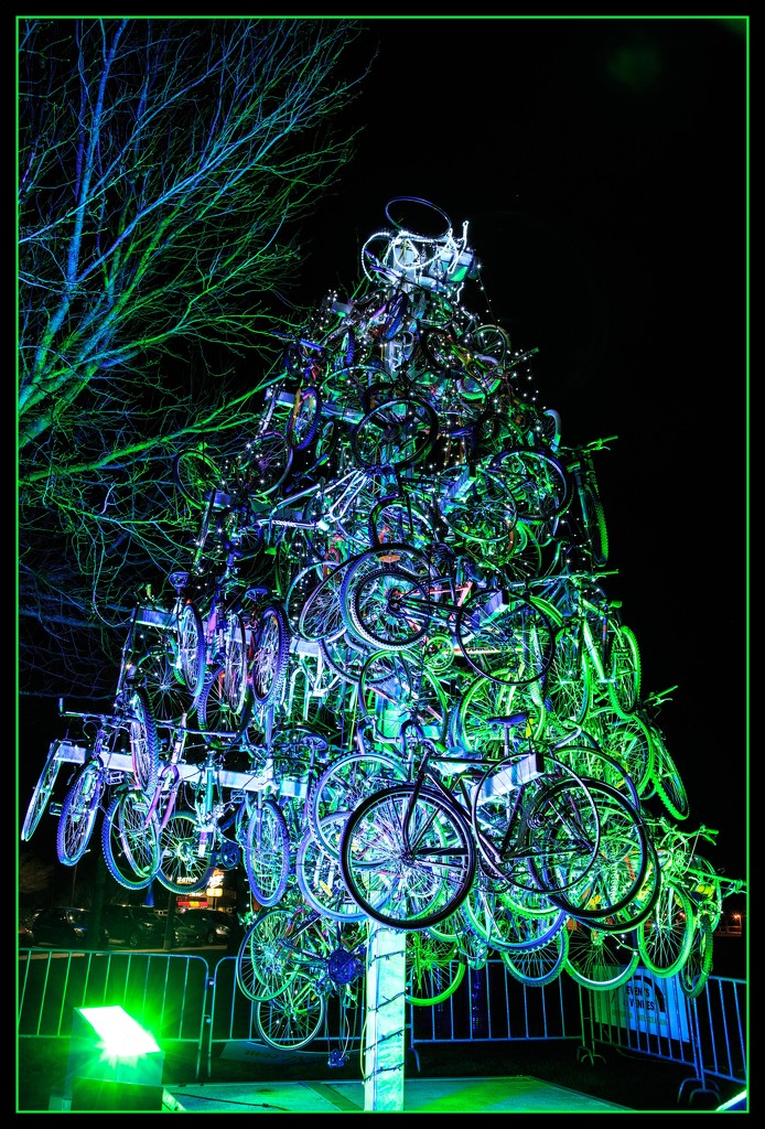 The bike tree by dide