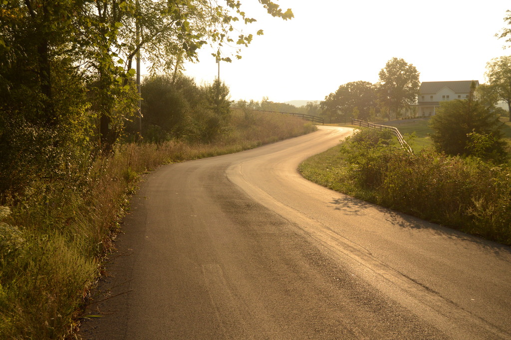 Shining Road by francoise