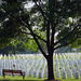 Jefferson Barracks by jae_at_wits_end