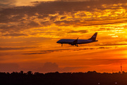 21st Aug 2015 - Sunrise Landing at DCA