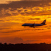 Sunrise Landing at DCA by jbritt