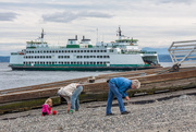 28th Aug 2015 - Searching for Treasure on Mukilteo Beach 