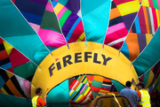 6th Sep 2015 - firefly 