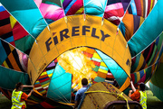 6th Sep 2015 - firefly lit